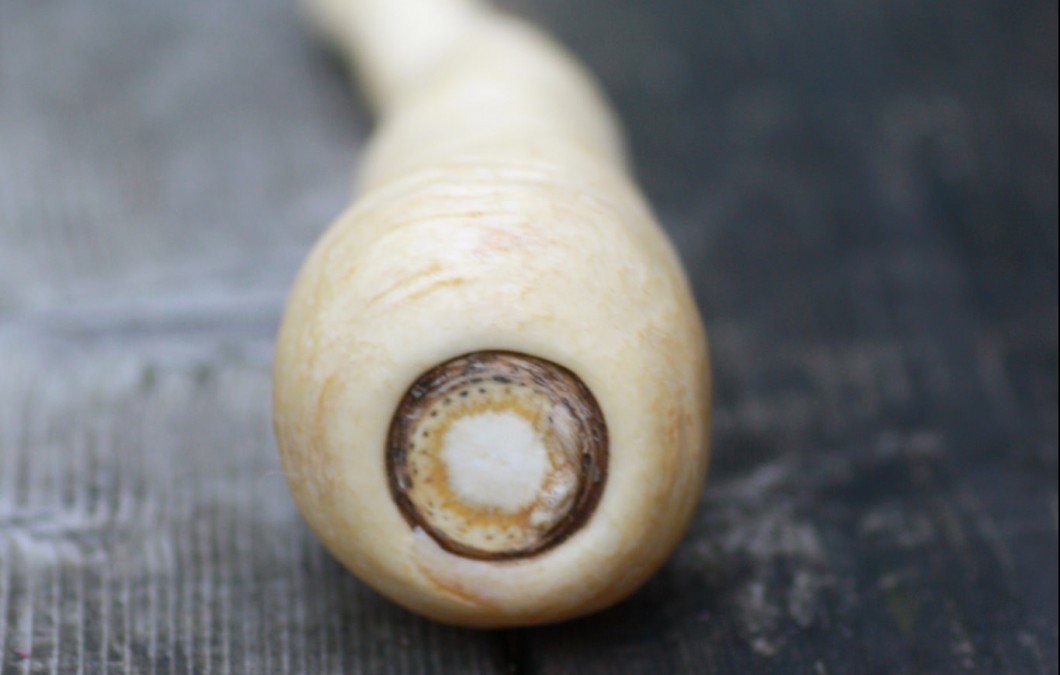 白い人参 いいえ 違います パースニップの知識まとめ 野菜ソムリエ Hiro のベジフルポケット