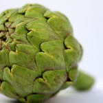 アーティチョーク : artichoke