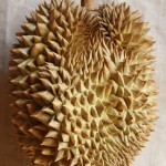 ドリアン : Durian
