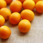 種類は？栄養は？金柑の知識まとめ