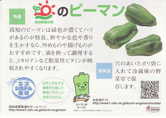 簡単ピーマンの焼きびたしレシピ 野菜ソムリエ Hiro のベジフルポケット
