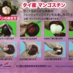 甘くてなめらか!「マンゴスチン」の剥き方(資料)