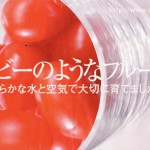 甘さが新しい！ルビーのようなフルーツトマト「アメーラ・ルビンズ」(資料)