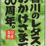 レタスレシピ(コンソメスープ・ベーコン風味 / フルーティードレッシングサラダ)(資料)