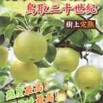 樹上完熟の二十世紀梨？「熟っと梨(うっとり)」 (資料)