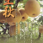 今までの晩生の梨にない肉質の良さを堪能できる「王秋梨」(資料)