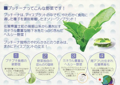 新食感プチプチ野菜「プッチーナ」のおいしい食べ方!(資料) | 野菜ソムリエ Hiro のベジフルポケット