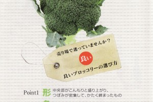 broccoli0325no2