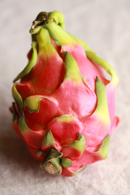 dragonfruit0211no4
