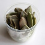 葉っぱなの？サプリメント野菜「グラパラリーフ」を食べてみた。