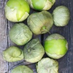 トマティロ / Tomatillo