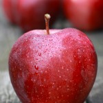 グロスター / Gloster apple