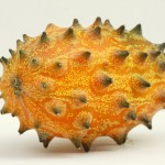 キワノ / Kiwano