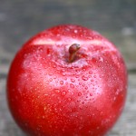 ジョナマック / Jonamac apple