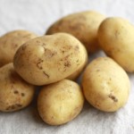 新じゃが(アローワ) : New Potato(Alowa)