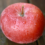 りんご（オカナ） / Okana apple