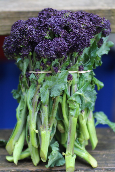 茎まで丸ごと食べられる 紫スティックブロッコリー 写真まとめ6枚 野菜ソムリエ Hiro のベジフルポケット
