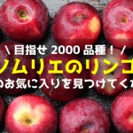 【目指せ2,000品種】野菜ソムリエのリンゴ図鑑！あなたのお気に入りが見つかる！