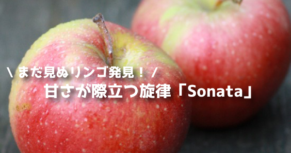 sonata11