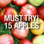 カナダ・バンクーバーで手に入るリンゴ15種類まとめ。あなたのお気に入りはどれ？