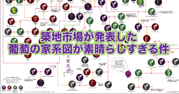 これでブドウ博士 築地市場が発表した 葡萄の家系図 で気になった品種3つ 野菜ソムリエ Hiro のベジフルポケット