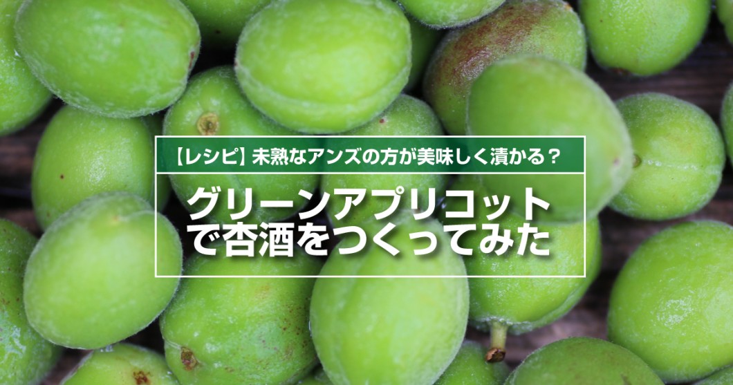 未熟なアンズの方が美味しく漬かる グリーンアプリコットの杏酒レシピ 野菜ソムリエ Hiro のベジフルポケット