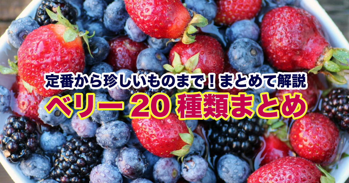 定番から珍しいものまで ベリー種類まとめ ゴジベリーにキウイベリーにクランベリーetc 野菜ソムリエ Hiro のベジフルポケット