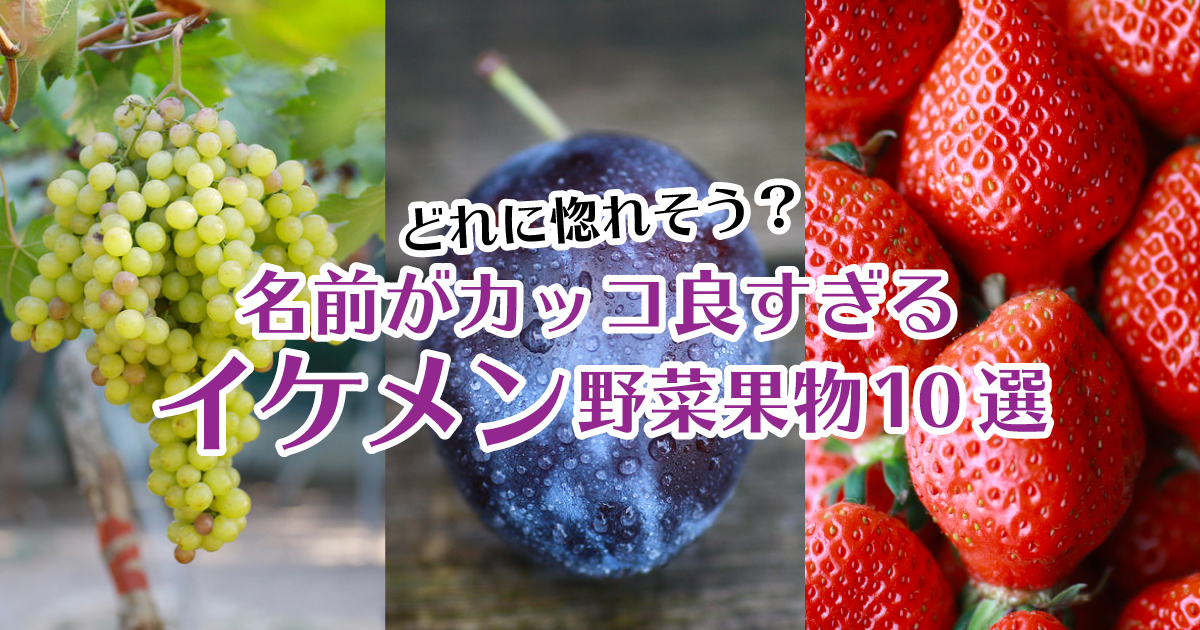 麗紅にカクテルフルーツetc 名前にインパクトがあるイケメン野菜 果物10選 野菜ソムリエ Hiro のベジフルポケット