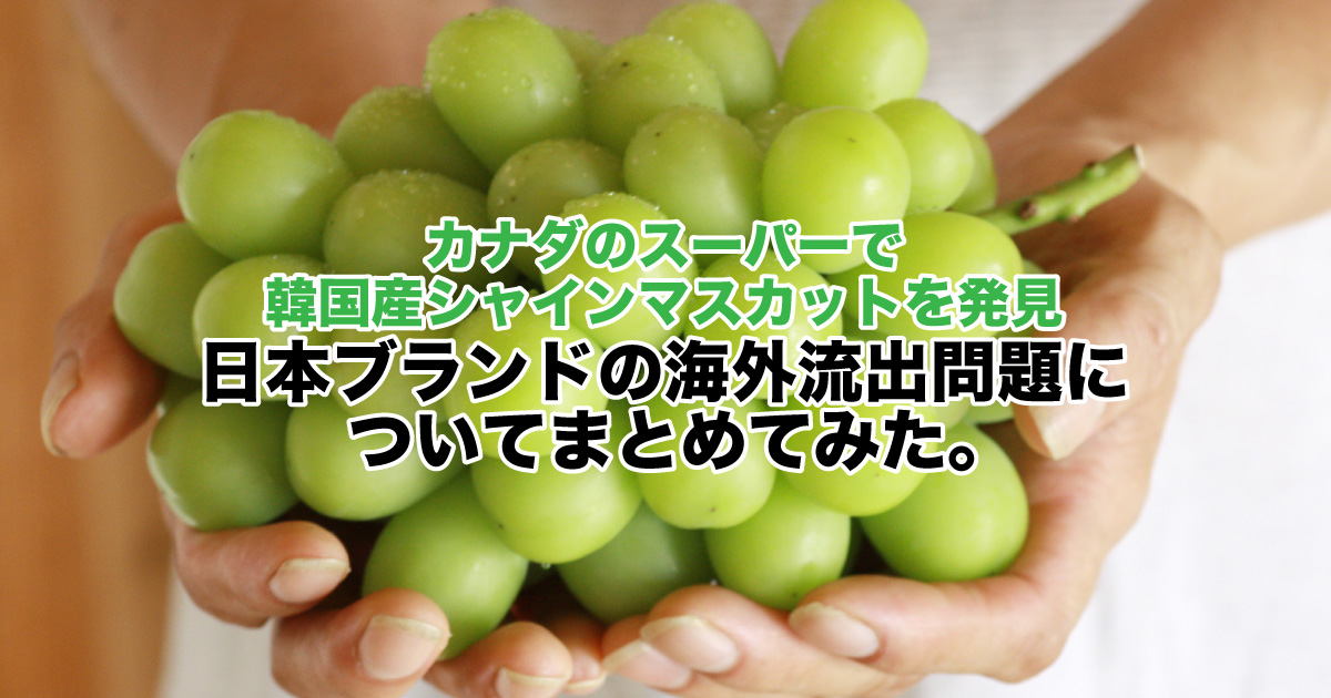カナダのスーパーで韓国産シャインマスカットを発見 海外流出問題についてまとめてみた 野菜ソムリエ Hiro のベジフルポケット