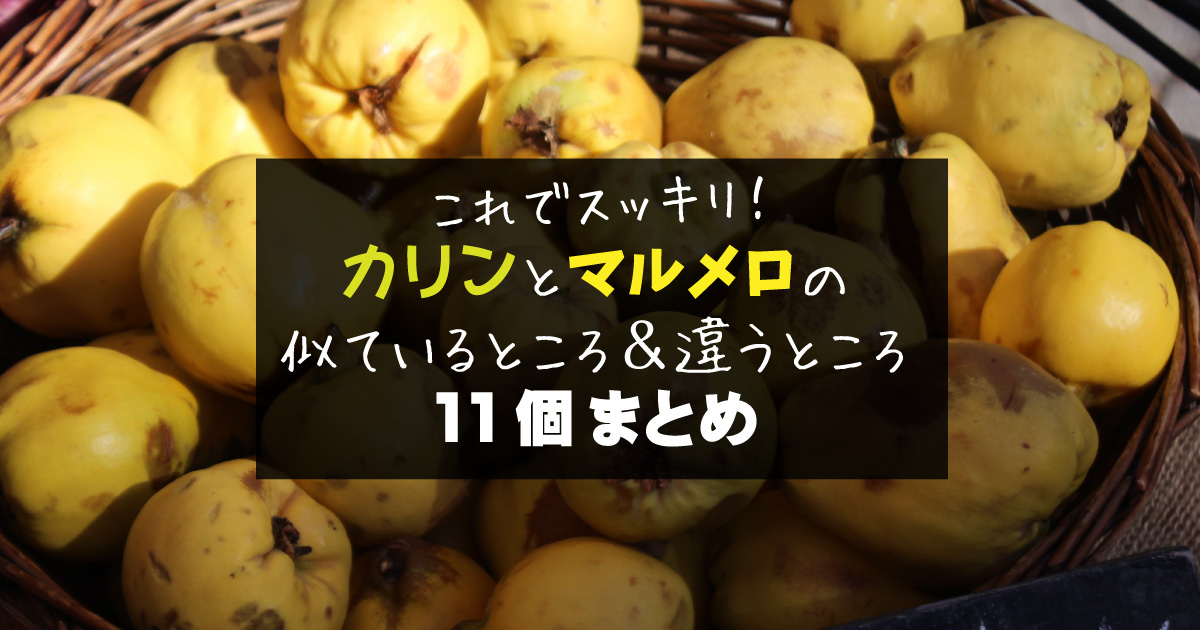 これでスッキリ！カリン(花梨)とマルメロの似ている＆違うところ11個まとめ | 野菜ソムリエ Hiro のベジフルポケット