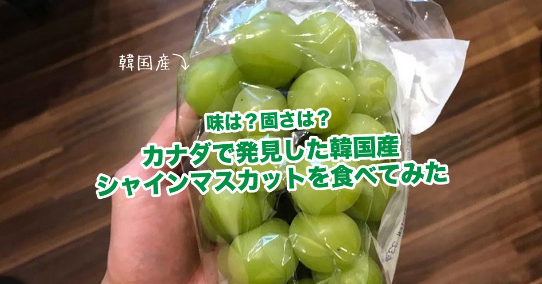 味は 硬さは カナダで発見した韓国産シャインマスカットを食べてみた 野菜ソムリエ Hiro のベジフルポケット