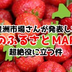 豊洲市場が発表した「苺の品種別ふるさとMAP」が超絶役に立つ件