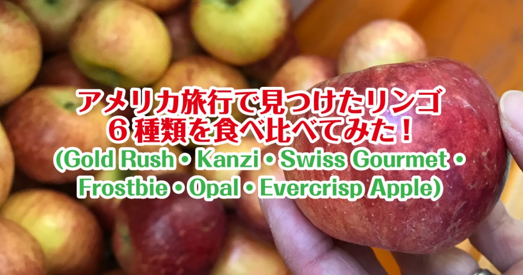 アメリカで見つけたリンゴ６種類食べ比べ(Evercrisp / Frostbite 