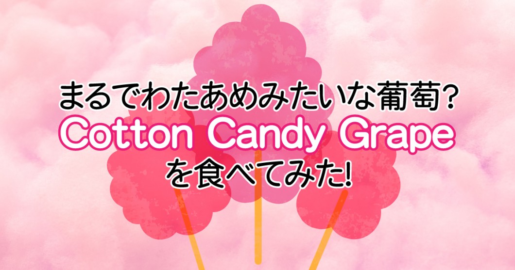 わたあめの味がするぶどう コットンキャンディーグレープ Cotton Candy Grape まとめ 野菜ソムリエ Hiro のベジフルポケット