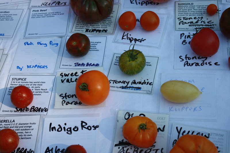 家宝種？エアルームトマト(Heirloom Tomato)について知っておきたい5つのこと | 野菜ソムリエ Hiro のベジフルポケット