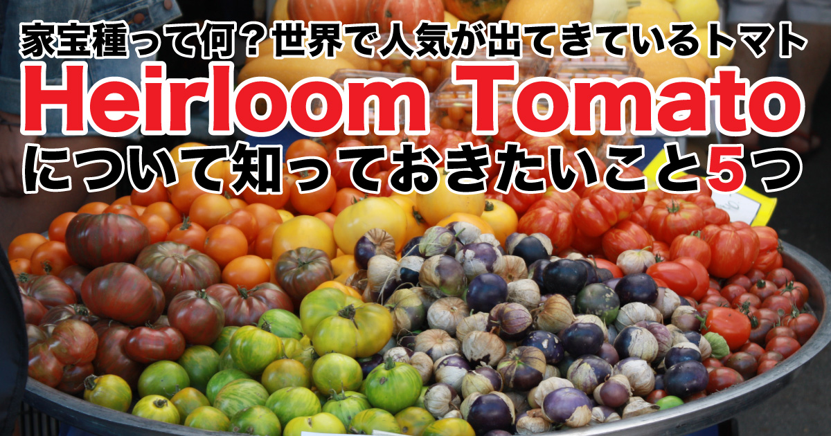 家宝種 エアルームトマト Heirloom Tomato について知っておきたい5つのこと 野菜ソムリエ Hiro のベジフルポケット