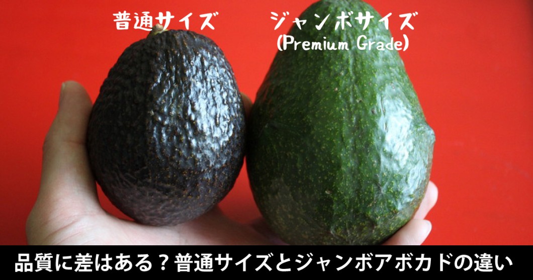 品質に差はある 普通サイズのアボカドとジャンボアボカド Premium Grade の違い 野菜ソムリエ Hiro のベジフルポケット