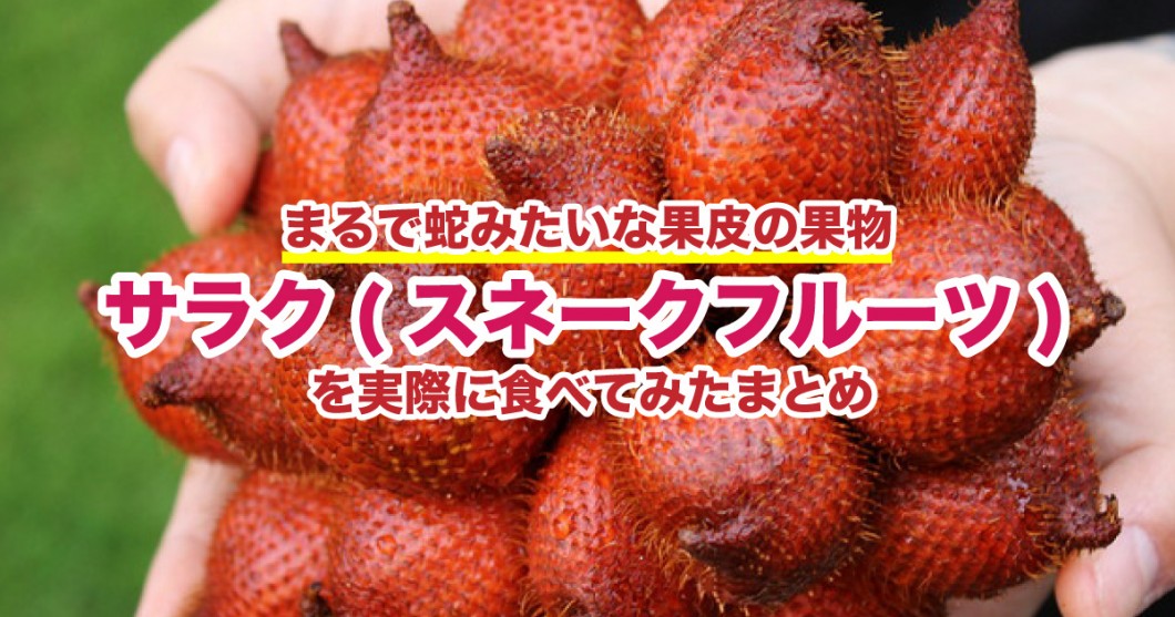 まるで蛇みたいな果物サラク Salak スネークフルーツ を食べてみたまとめ 野菜ソムリエ Hiro のベジフルポケット