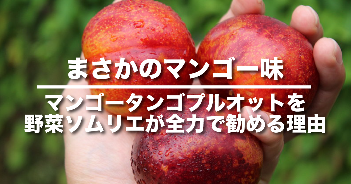 スモモとアンズの交配種マンゴータンゴプルオットを野菜ソムリエが全力で勧める理由 野菜ソムリエ Hiro のベジフルポケット