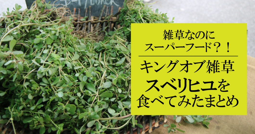 雑草なのにスーパーフード 海外でも人気のスベリヒユ Purslane を食べてみたまとめ 野菜ソムリエ Hiro のベジフルポケット