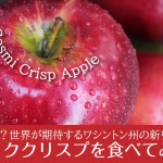 カナダで入手！宣伝費10億円のリンゴCosmic Crisp(コズミッククリスプ)を食べてみた感想