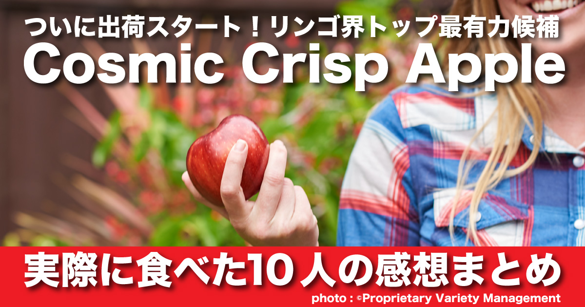 世界中が期待する新りんご Cosmic Crisp Apple がついに発売 10人の感想まとめ 野菜ソムリエ Hiro のベジフルポケット