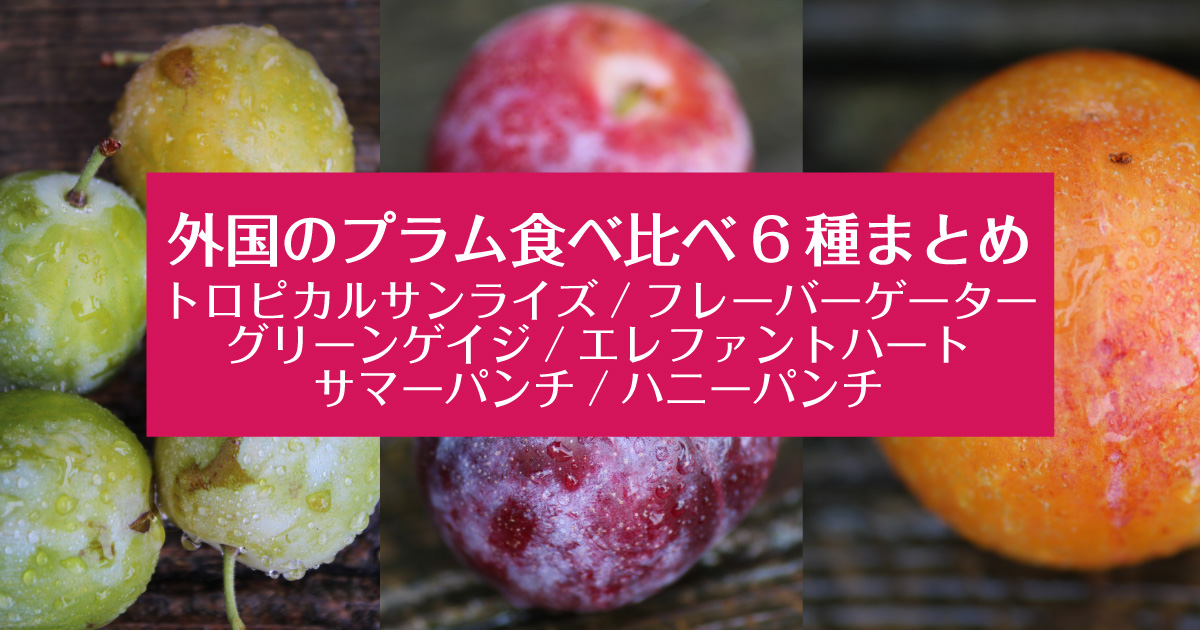 外国のプラム食べ比べ6種まとめ グリーンゲイジ エレファントハート トロピカルサンライズ フレーバーゲーター サマーパンチ ハニーパンチ 野菜ソムリエ Hiro のベジフルポケット