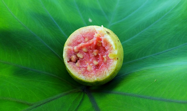 red-guava-1691430_640