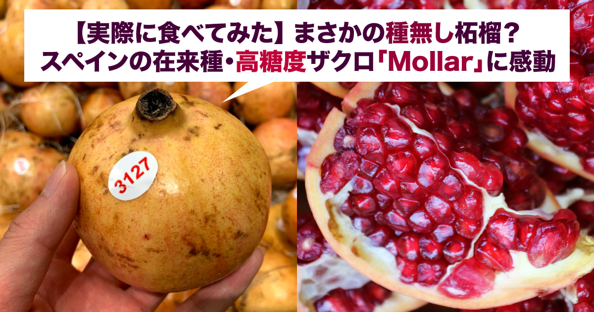まさかの種無し柘榴 スペインの在来種 高糖度ザクロ Mollar に感動 野菜ソムリエ Hiro のベジフルポケット