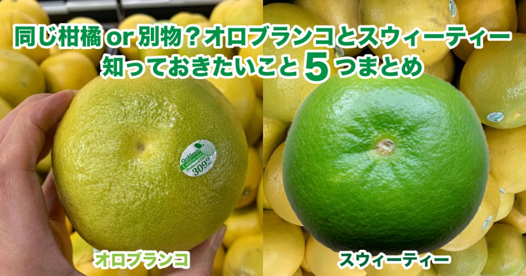 同じ柑橘 オロブランコとスウィーティーについて知っておきたいこと5つまとめ 野菜ソムリエ Hiro のベジフルポケット