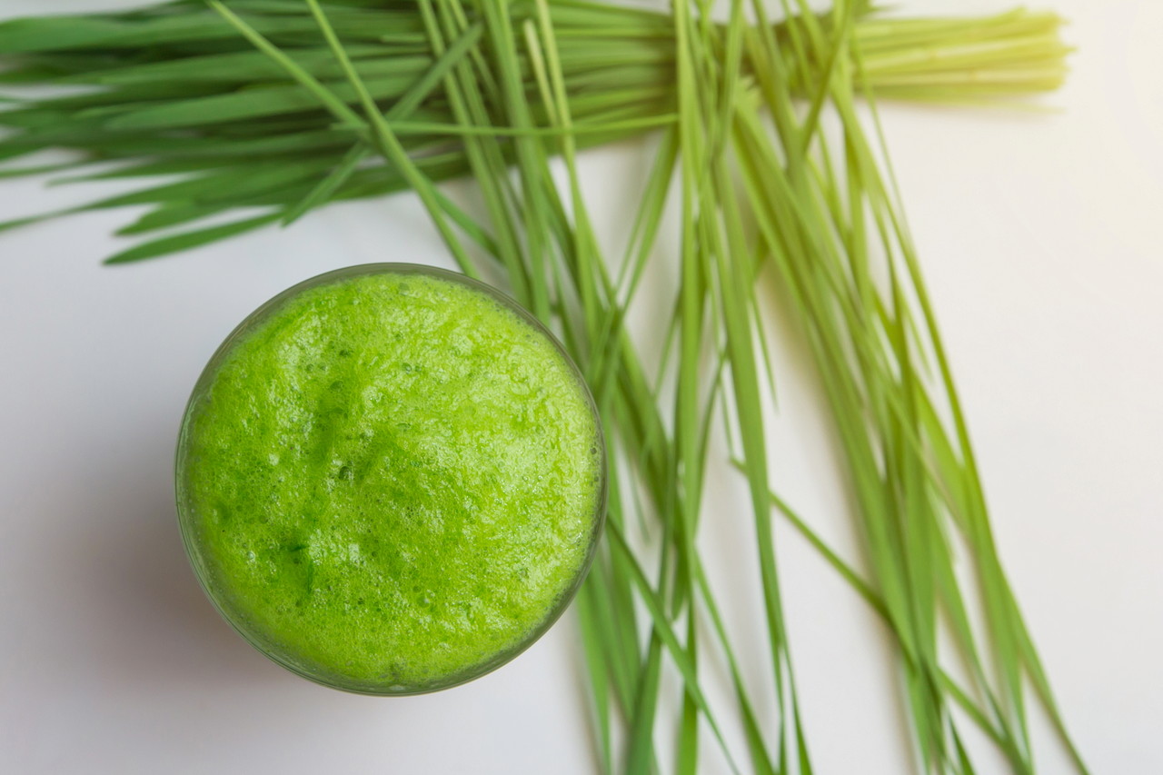 A glass of wheatgrass  grass juice, with fresh