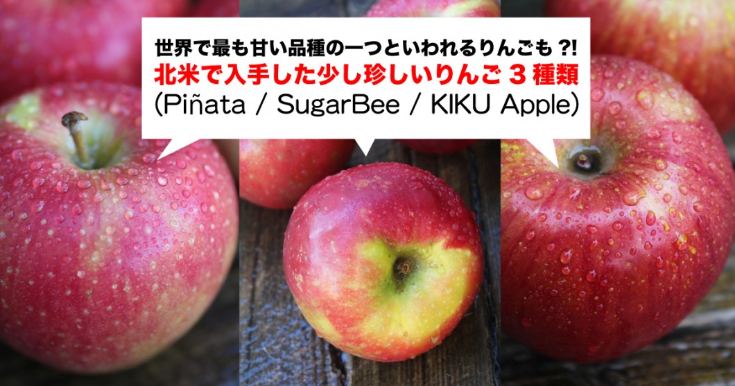 世界で最も甘い品種の一つも 北米で入手した少し珍しいりんご3種類 Sugar Bee Pinata Kiku Apple 野菜ソムリエ Hiro のベジフルポケット