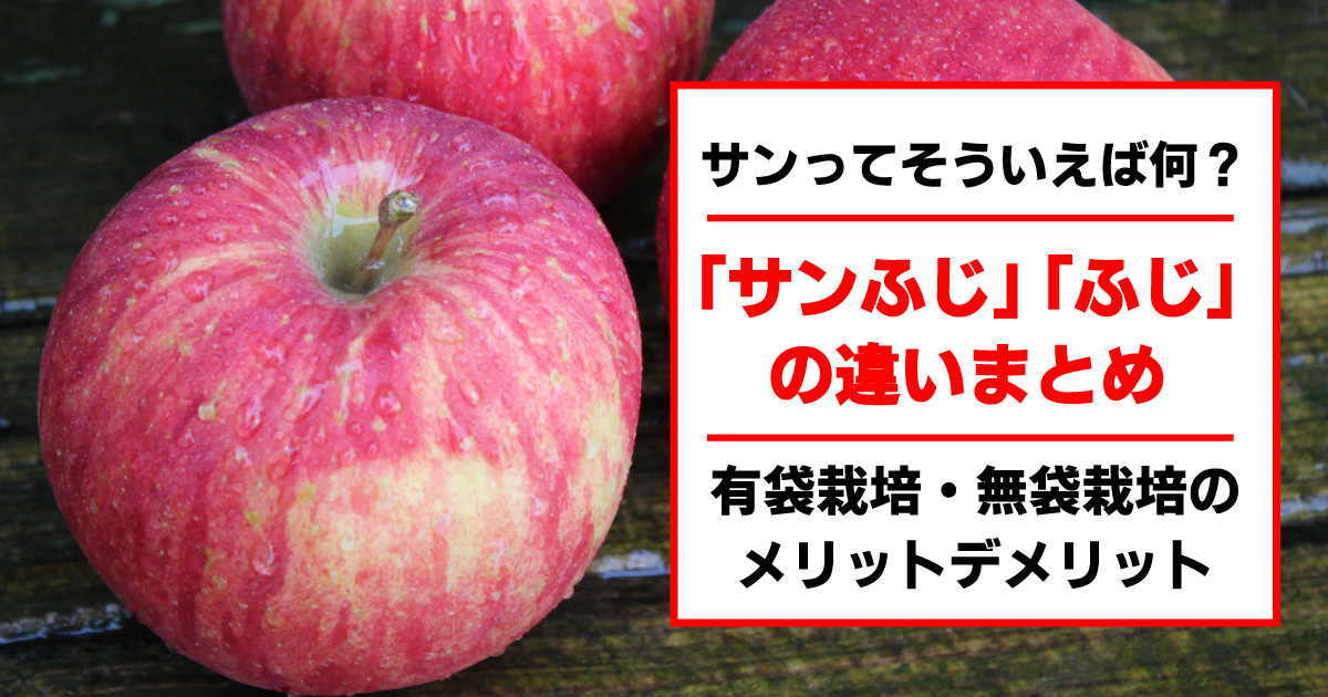 サンふじとふじリンゴの違いまとめ 有袋 無袋栽培のメリットデメリットは 野菜ソムリエ Hiro のベジフルポケット