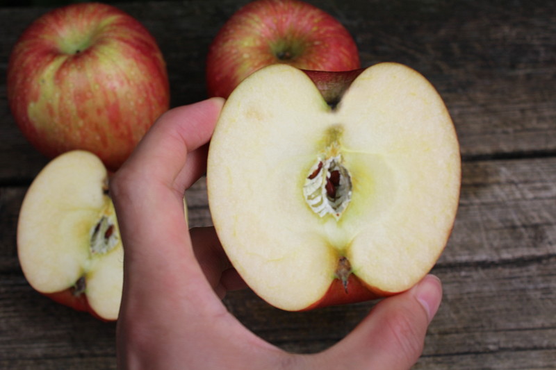 世界で最も甘い品種の一つも?!北米で入手した少し珍しいりんご3種類 